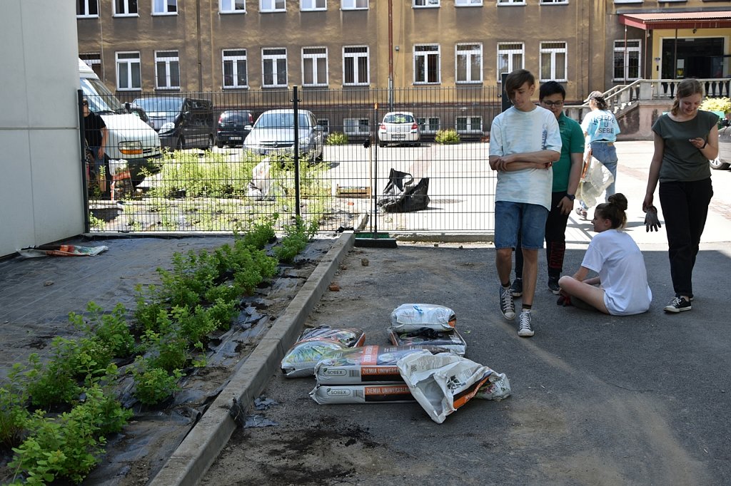 Uczniowie przy wejściu na dziedziniec szkolny. Worki z ziemią. Sadzonki.