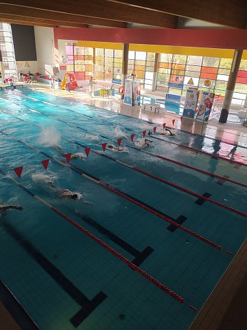 Pływalnia. W połowie torów zawodnicy. 